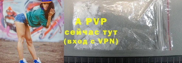 бошки Новодвинск
