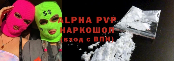 амф Новозыбков