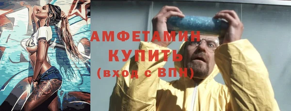 амф Новозыбков