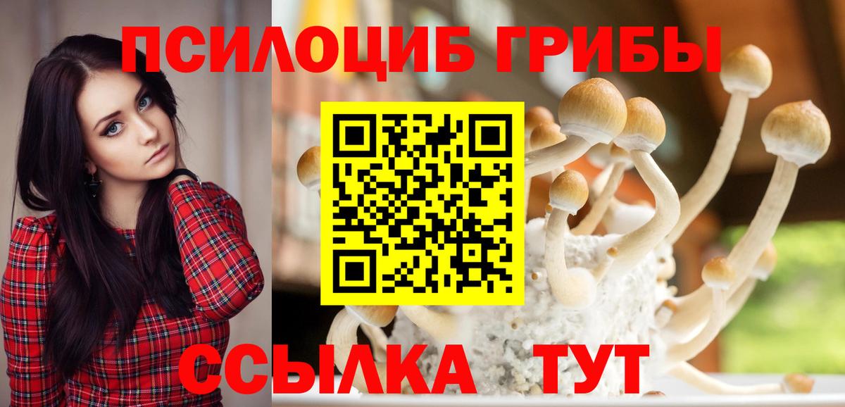 Псилоцибиновые грибы прущие грибы  Вход с VPN  Нальчик 
